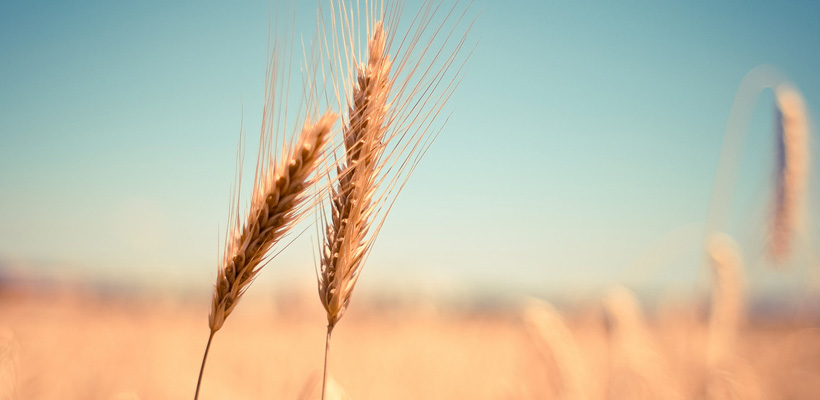 低调的*者 从心出发——某某球陶瓷新展厅有感