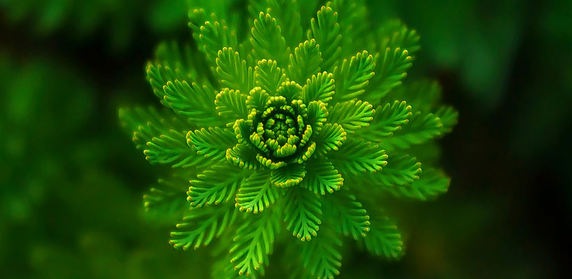 某某陶瓷品牌新形象画亮相总部