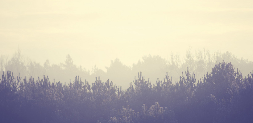 2015年陶瓷股份有限公司大事记